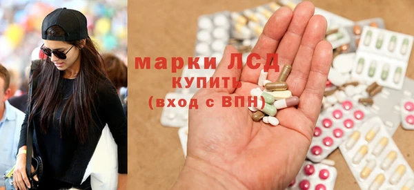 шишки Аркадак