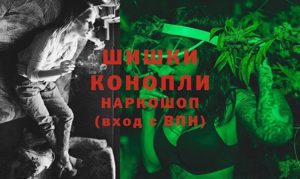 шишки Аркадак