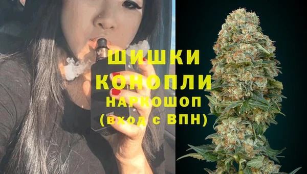 шишки Аркадак